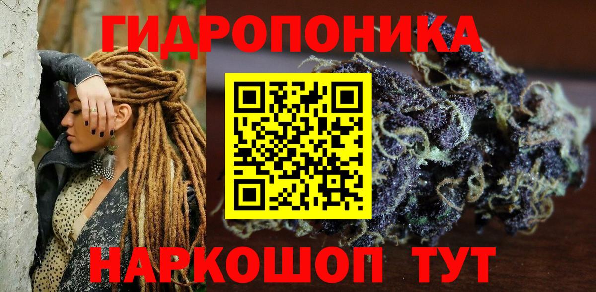 Шишки марихуана план Сальск